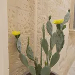 All\'1 Di Rajno\' Relaxing Aparthotel
